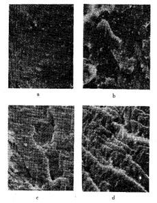 t10901.gif (13801 bytes)