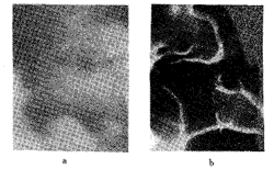 t10902.gif (7826 bytes)