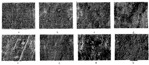 t8301.gif (26547 bytes)