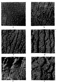 t8303.gif (19021 bytes)