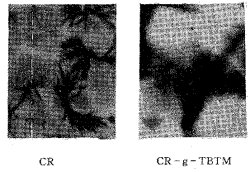 t9701.gif (9085 bytes)