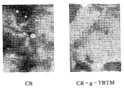 t9702.gif (9356 bytes)